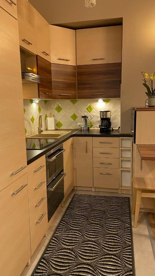 Lublinbnb - Exclusive Family Apartment ------ In The Heart Of Lublin -------------------------------- Bedroom & Living Room & Kitchen Dış mekan fotoğraf